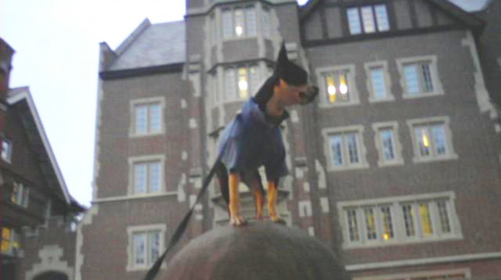 bogart-osu bogart-osu